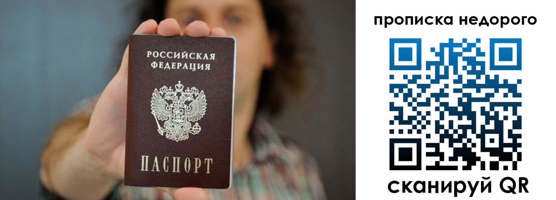 прописка гарантия в Кировске